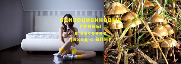 мескалин Козловка