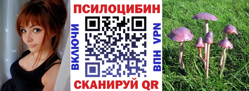 Псилоцибиновые грибы мицелий  Купить  Приозерск 